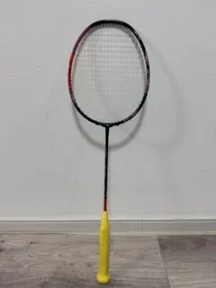 4UG6 ASTROX 77 PRO アストロクス 77 プロAX77-P