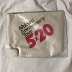 嵐　5x20 ポーチ