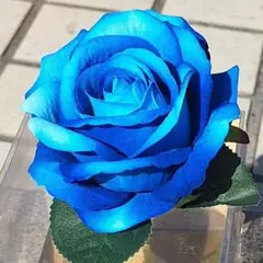 Guilty Rose】世界に一つしかない青い薔薇 - メルカリ