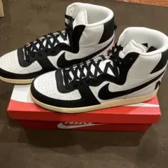 NIKE Terminator High 
