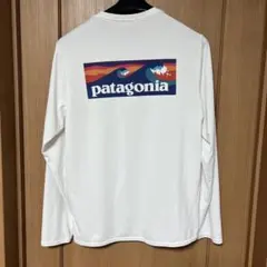 patagonia キャプリーン・クール・デイリー・グラフィック・シャツ