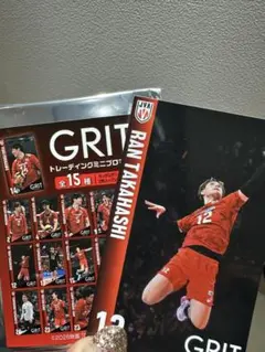 GRIT 高橋藍 バレーボール男子日本代表 トレーディングミニプロマイド