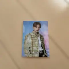 FANTASTICS SUNFLOWER 八木勇征フォトカード