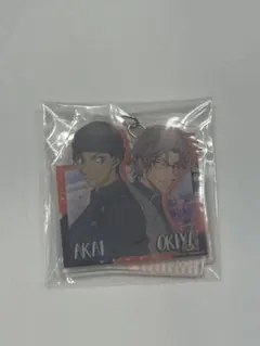 赤井秀一 アクキー アクリルキーホルダー