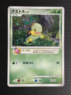 2026年最新】ナエトル プロモの人気アイテム - メルカリ