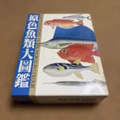 2026年最新】原色魚類大図鑑の人気アイテム - メルカリ