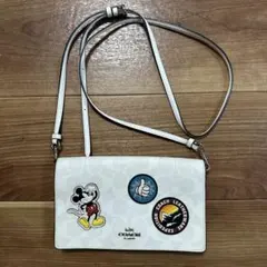nachan様 専用 Disney × COACHのサムネイル