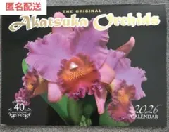 Item thumbnail for item 5ac66035-1150-43ca-80d9-e1e77918303a