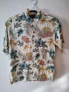 Item thumbnail for item 3357c124-a2c5-4dfd-b347-e06359923c0f