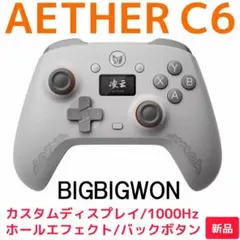 【BIGBIGWON】AetherC6 グレー（新品）Switchコントローラー