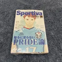 ハイキュー!! ショーセツバン!! 13