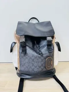 COACH コーチ シグネチャー リュックサック バックパック
