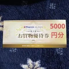ヤマダ電機　YAMADA お買物優待券 10枚 ¥500