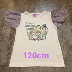 アリスインワンダーランド Tシャツ 120cm