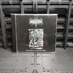 新品未使用DOWN NORTH CAMP DOGEARR レコード - メルカリ