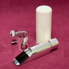 【撮影開封のみ】ヤナギサワ純正マウスピース＆リガチャーセット　新品未使用即購入可 tsax6-setcase.jpg