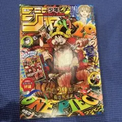 少年ジャンプ 2026年33号 ONE PIECE ※付録なしです 返品不可です