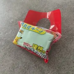 未開封　伊藤園　ポケモン　ペットボトルカバー　③