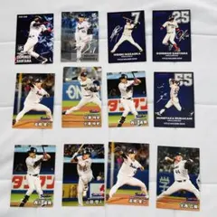 プロ野球チップス ヤクルト スターカード タイトルホルダーカード 最多奪三振
