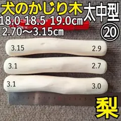 Item thumbnail for item c69bf77d-a863-4cf9-a497-1775d8044f54