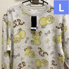 Item thumbnail for item 42be235e-39b2-4fac-839f-5fe2dbcf4f2e