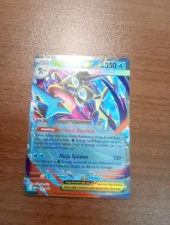 포켓몬 カード ポケカ メガ 개굴닌자 ex プロモ ホロ 海外 英語版 正規品