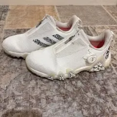 Item thumbnail for item 17a2de87-f671-4284-bfb8-3c17e64fc4db