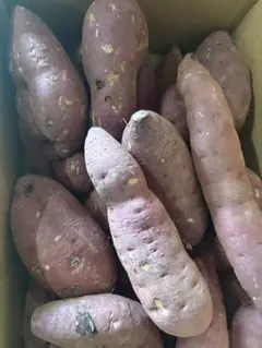 【激安セール】甘〜い　大分産　熟成　紅はるか　10kg 大容量　さつまいも　蜜芋