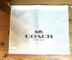 Item thumbnail for item d072dc90-2011-42f0-a8f5-6876a4fe7f4b