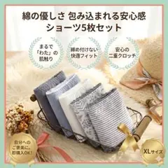 コットン 5枚セット XL レディース 綿 下着 通気性 シンプル まとめ売り