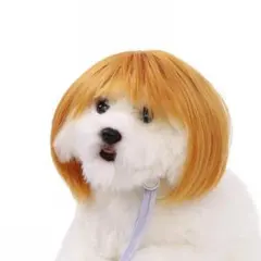 猫ウィッグ 犬ペットウィッグ ハロウィン コスプレ ウィッグ wig イエロー