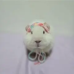 モルモット ぬいぐるみ ヘッドドレス ポッピングピンク