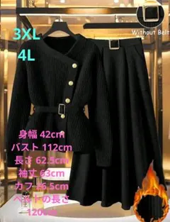 3XL 4L 薄手ニット 長袖トップ & スカート 2点セット セットアップ