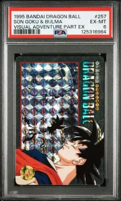 2025年最新】ビジュアルアドベンチャー 257の人気アイテム - メルカリ