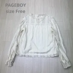 アリシア ページボーイ PAGEBOY シアー 刺繍 カットソー ブラウス