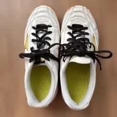 Item thumbnail for item 7126dc55-8738-4fec-b91c-f01313089acc