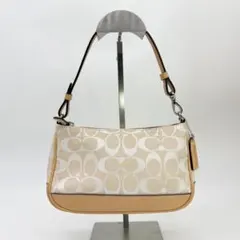 COACH コーチ シグネチャー アクセサリーポーチ ハンドバッグ