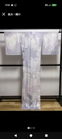 ZF-1458 夏着物 絽 訪問着 友禅 鷺 トールサイズ 高級 正絹 希少