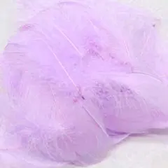 ෆෆෆフェザーシャワーෆෆෆライトパープル100枚❤匿名配送