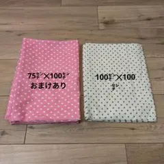 はぎれ　水玉模様生地セット
