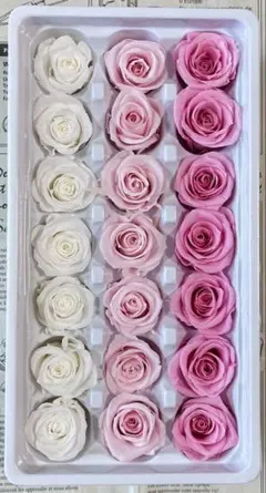 プリザーブドフラワー　2.5-3cm 21輪　バラ　　アソート　W