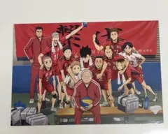 劇場版ハイキュー!! ゴミ捨て場の決戦 入場者特典 ポストカード