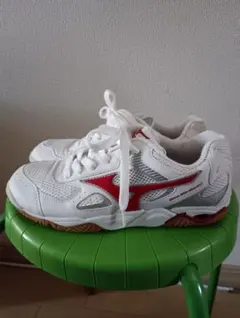 MIZUNO Wave Exceed トレーニングシューズ　バレーボールシューズのサムネイル