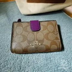 Item thumbnail for item aa02f407-4952-42d2-94f6-3d0c8d92da21