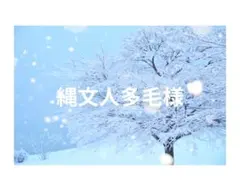 ユニクロ シルキードライVネックT 半袖 白 XL 2枚セット