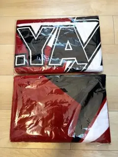 矢沢永吉　スペシャルビーチタオル　セット　ロゴ星　YAZAWA CLUB2014のサムネイル