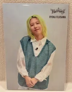 Mrs. GREEN APPLE Harmony 藤澤涼架 - メルカリ