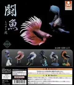 Item thumbnail for item d73daec0-6ea2-4425-b6bc-9c6fa4a8370f