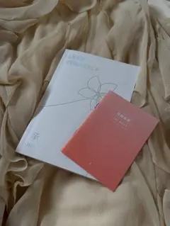 BTS Loveyourself 承 E ※CDなし