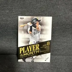 Item thumbnail for item 9ec7d1b1-e167-46f6-8a53-cde258ed71d9